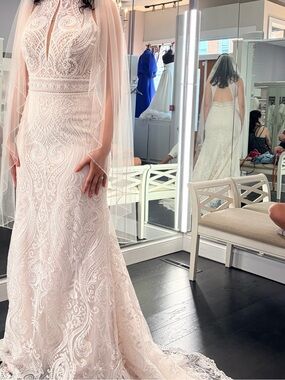 Delicate Lace Bridal Gown in Soft Blush